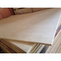 Cheapest and Popular Poplar Panel/Poplar Board/Poplar Plywood